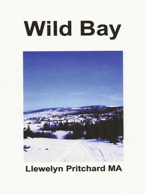 cover image of Wild Bay
